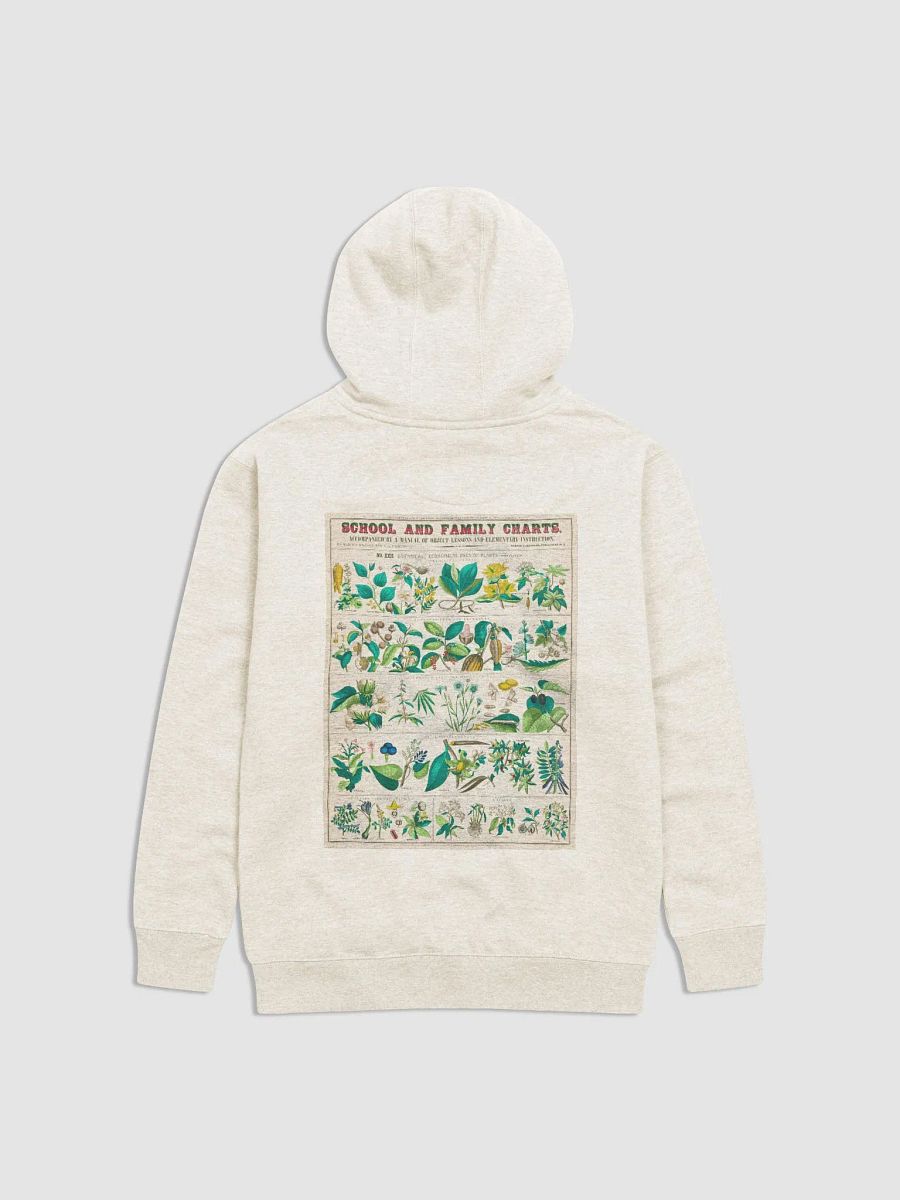 Vintage Botanicals Hoodie product image (1)