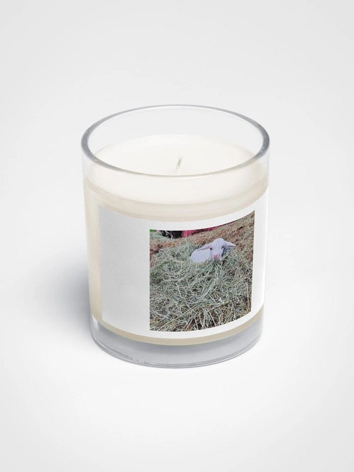 Whiskey's nest product image (2)