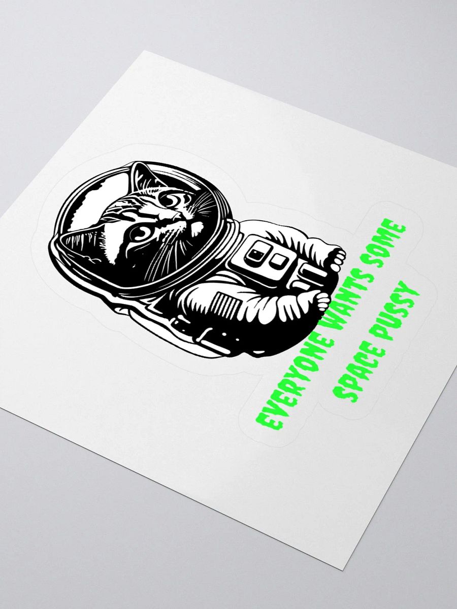 SPACE PUSSY STICKER product image (10)