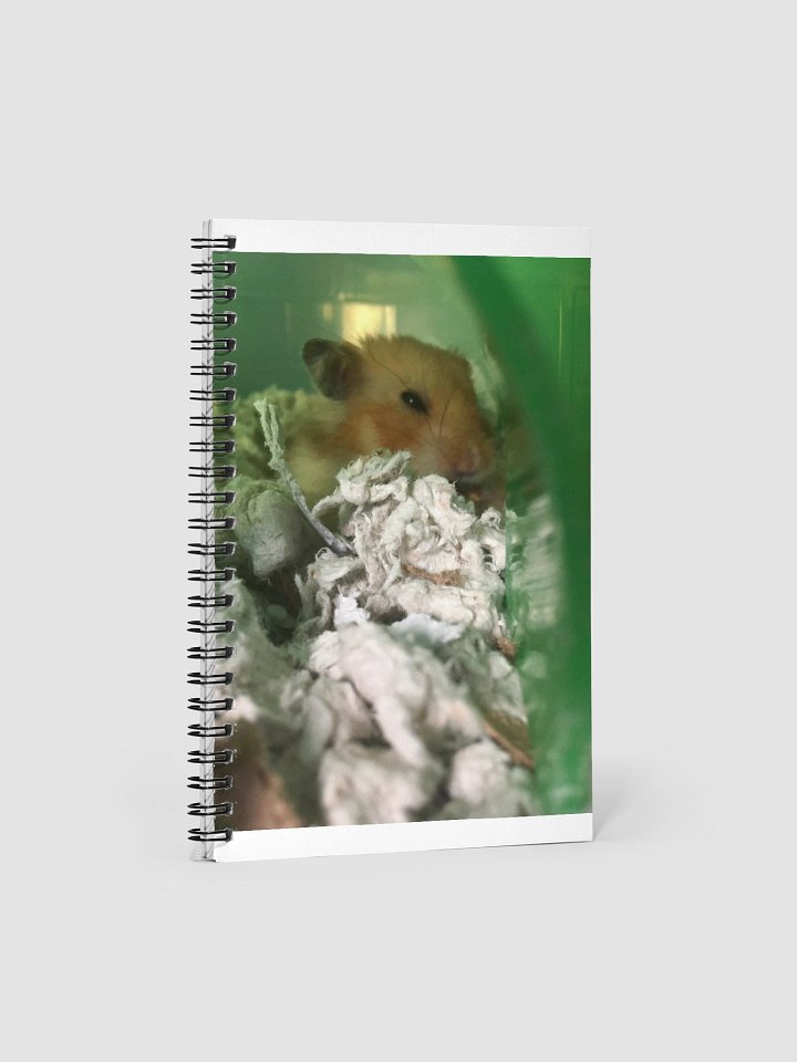 Nugget Notebook product image (1)