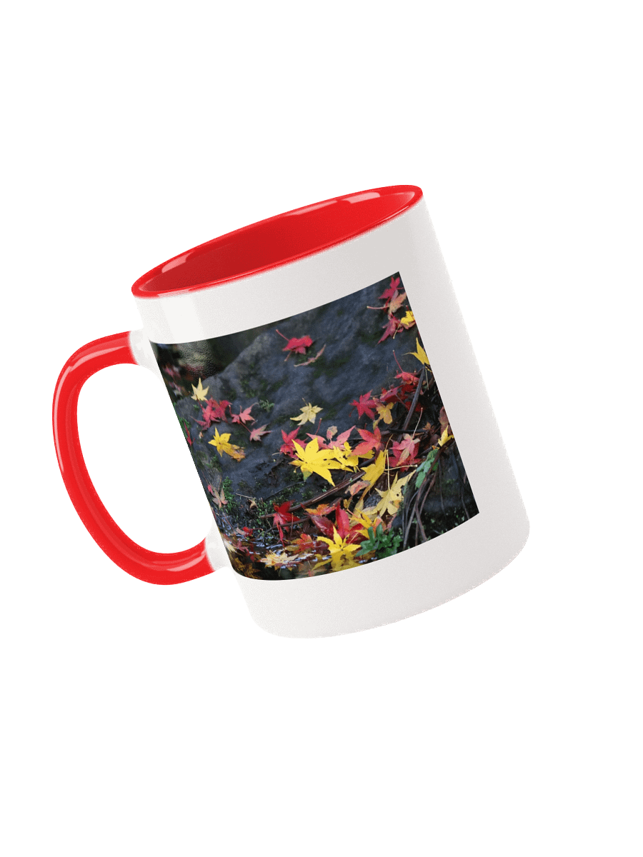 Love Joy Bestseller Autumn Beauty Mug product image (6)