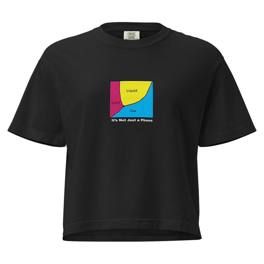 It's Not Just a Phase- Pan Shirt product image (1)
