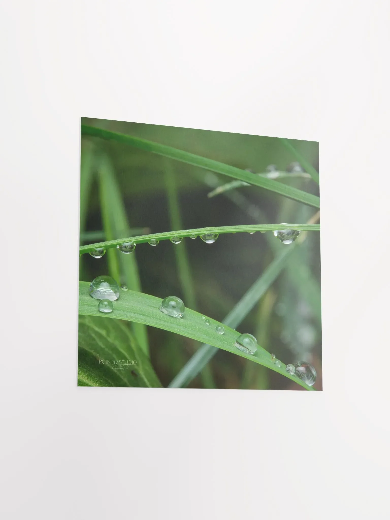 Dew Gems #9 - Print product image (8)