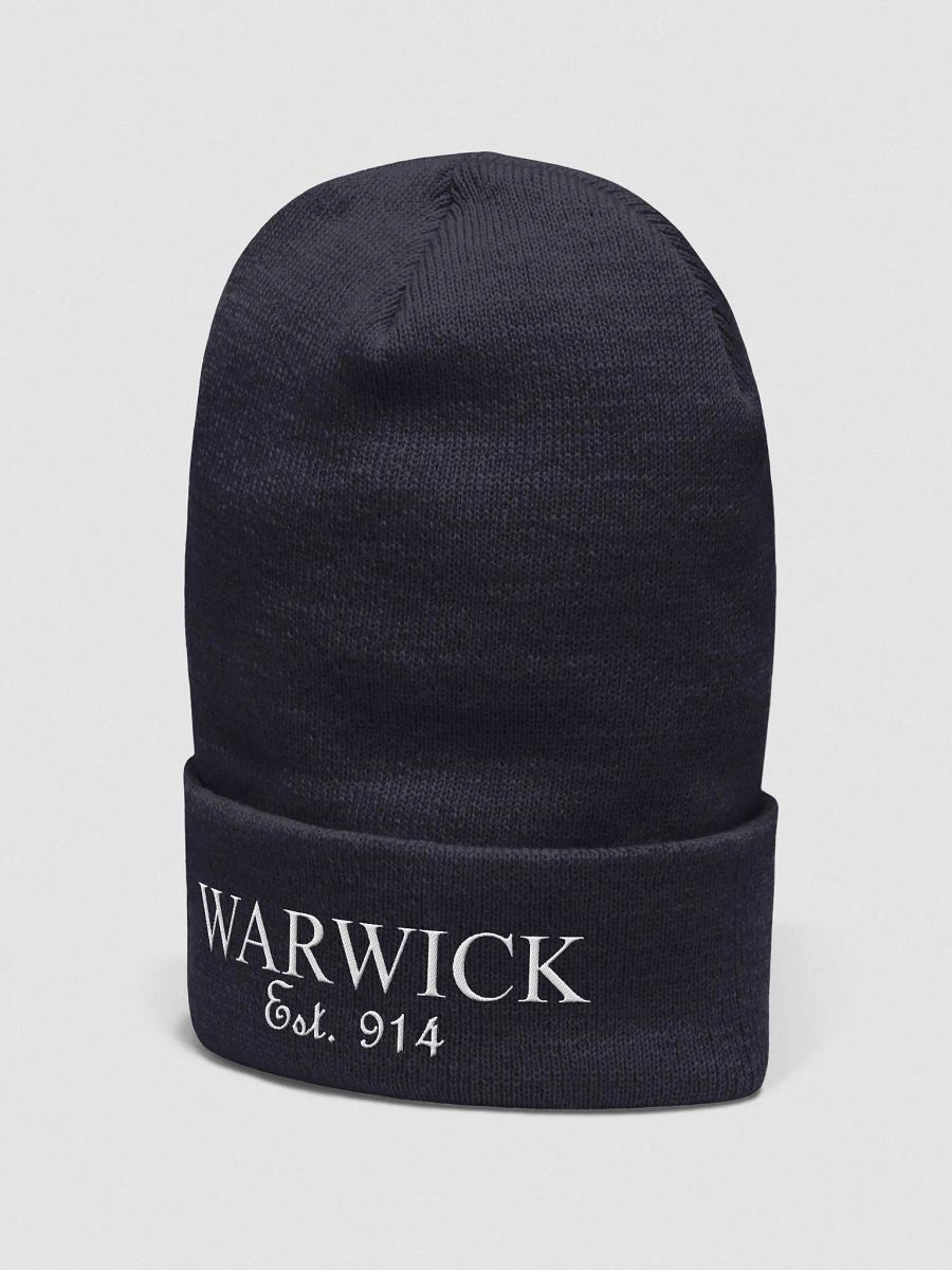 Warwick 914 - Classic Beanie - Dark product image (4)