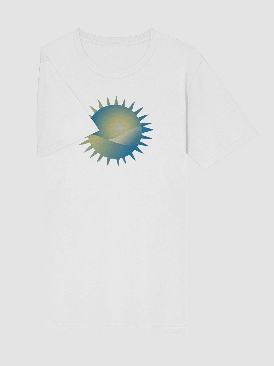Music Enlightens Tri-Blend Tee product image (5)