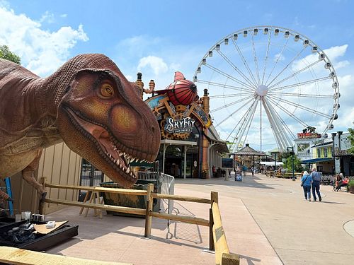 Dinosaurs are showing up at The Island! 🦖🎡 Would you like to see them when they come to life May 21? 🦕 #pigeonforge #theislan...