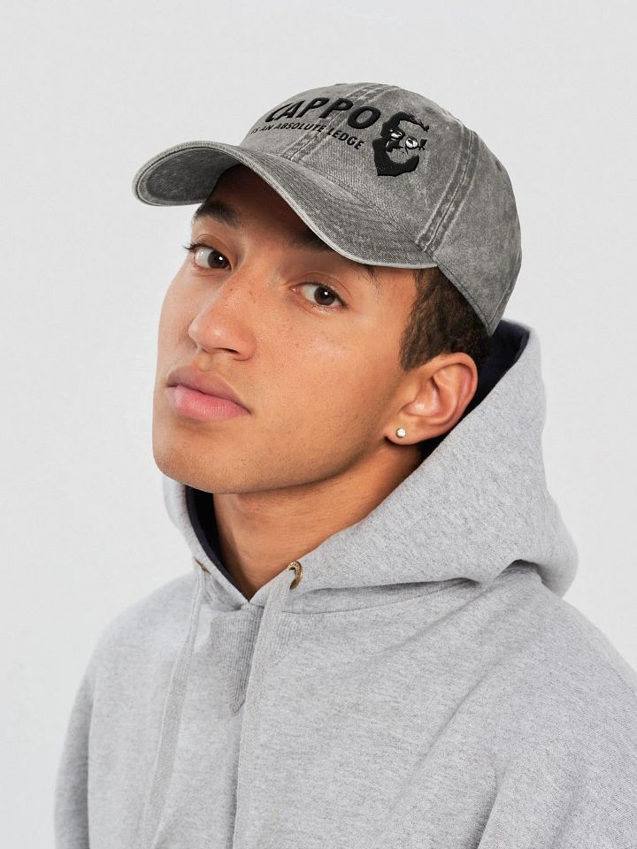 Cappo - Cap product image (2)