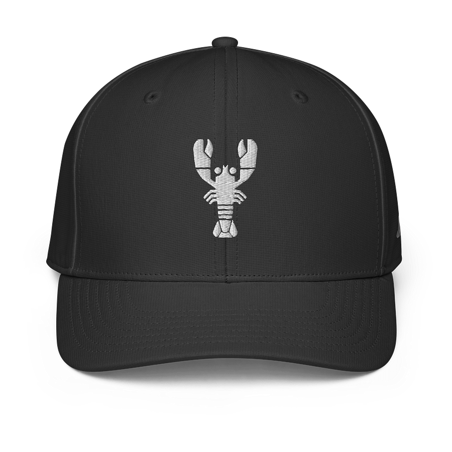 Lobster Claw Performance Cap product image (4)