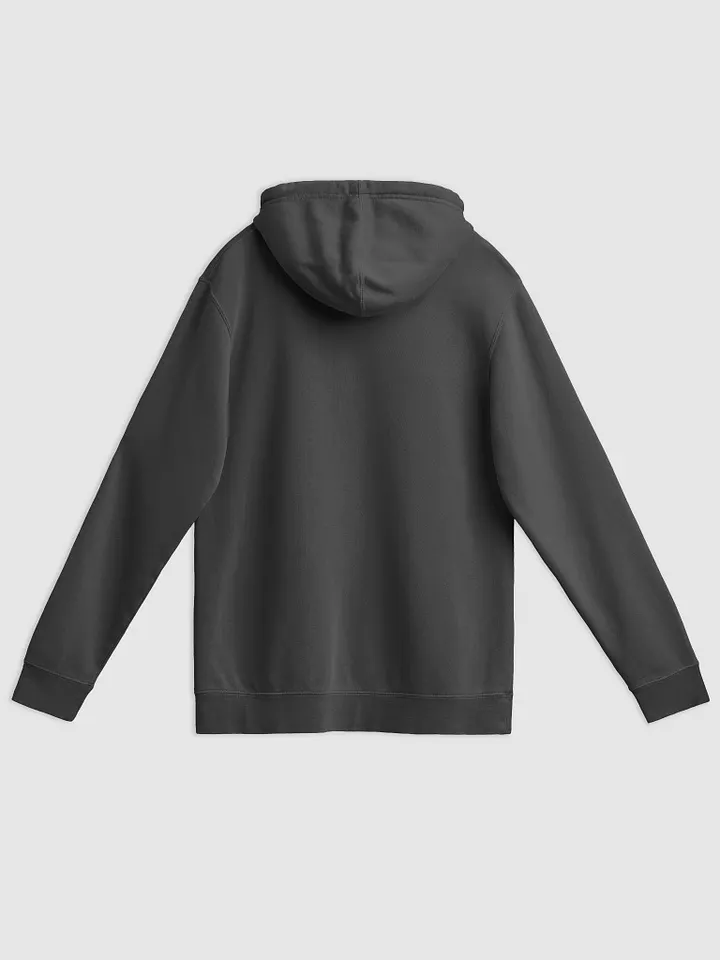 *not* mentally linear (sm. lined design) printed pigment hoodie product image (6)