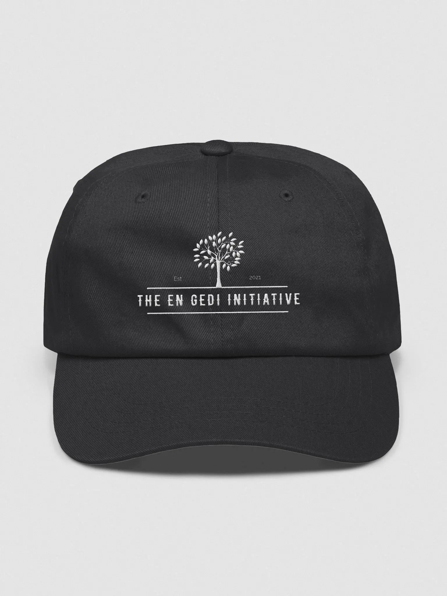 En Gedi Initiative Logo Dad Hat product image (1)