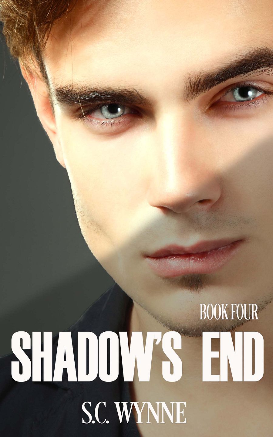 Shadow's End: Psychic Detective Mysteries Book 4 product image (1)