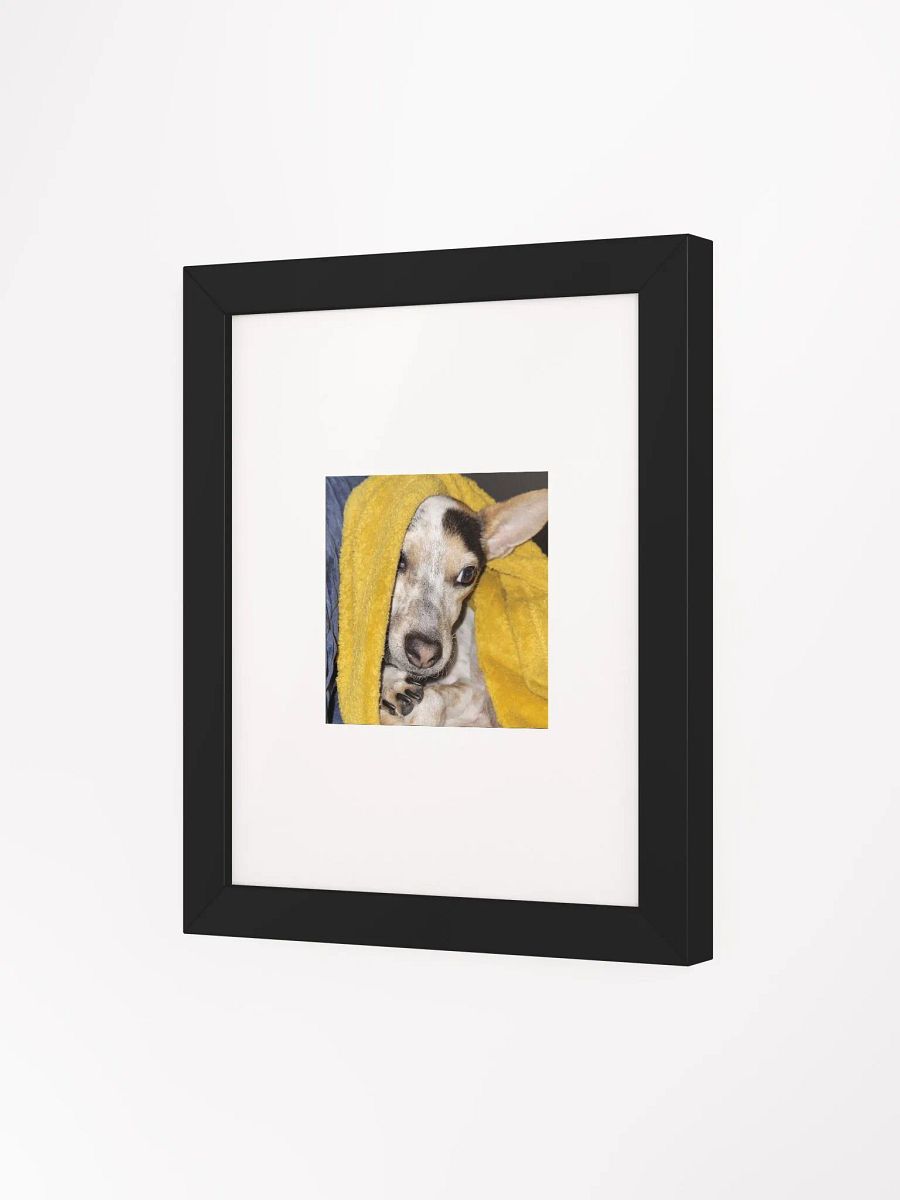 Bronx the Adorable product image (9)