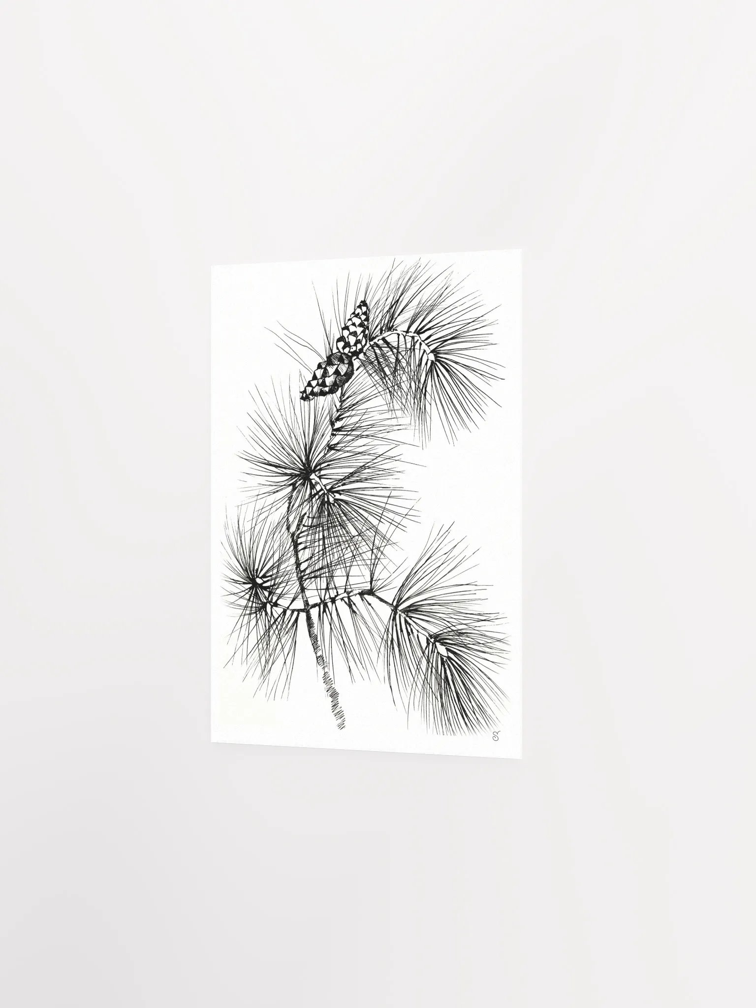 Pine Branch Serenity Poster - Pine Branch and Cones product image (7)