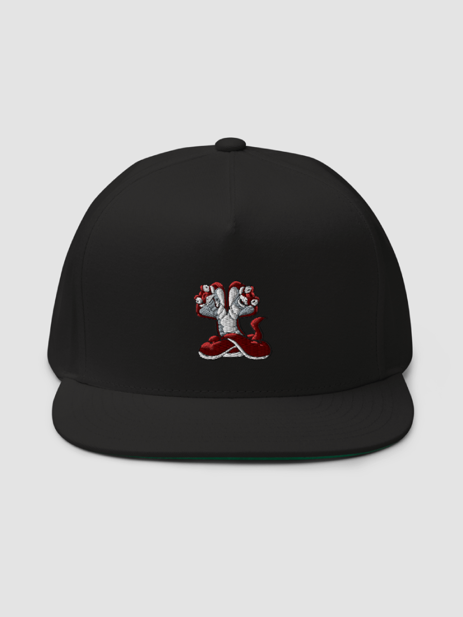 CoBruhs Logo Only Flat Bill Cap product image (1)