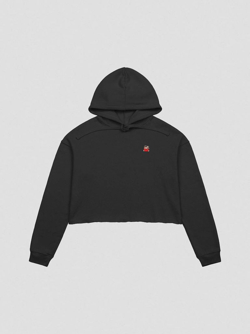 Crop Top Hoodie