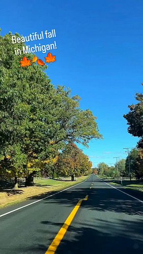 Beautiful Michigan fall colors! 🍂 🍁 🍂
#puremichigan #fallcolors #saturdayvibes