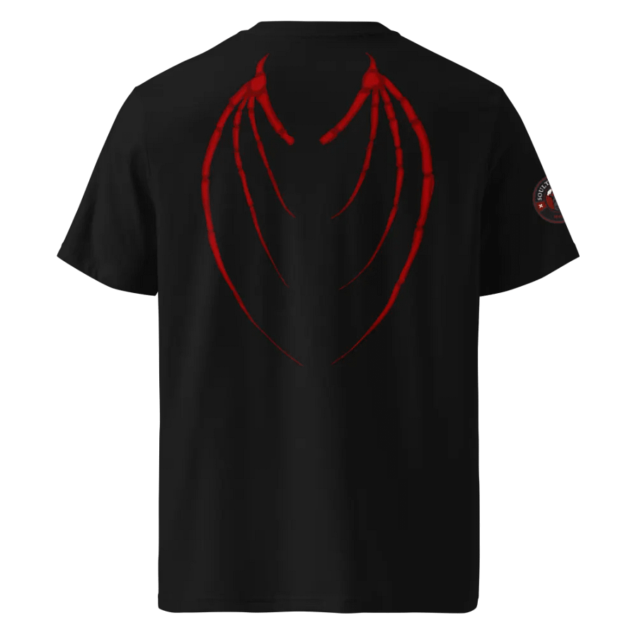 Souls Angels product image (3)