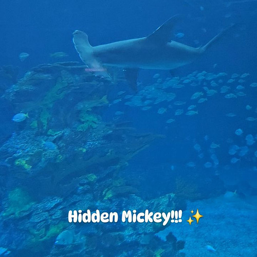 🌊 Hidden Mickey!!! 🌊

Spending the day at Disney's Epcot is always so relaxing. You just never know where you'll find a Hidde...