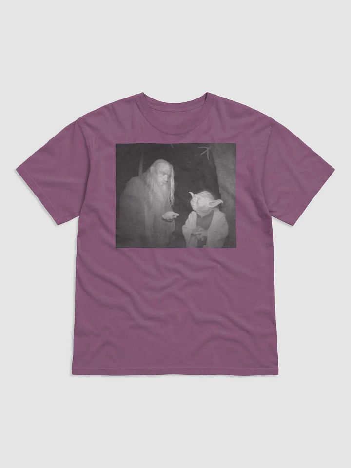 LOTR two wizards product image (4)