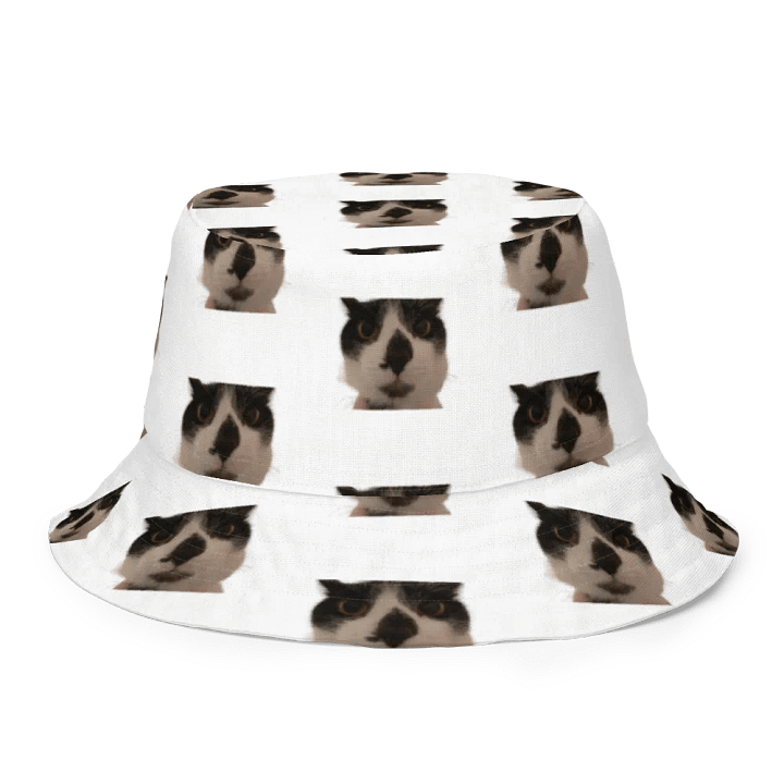 Kylo and Bubba Bucket Hat product image (1)