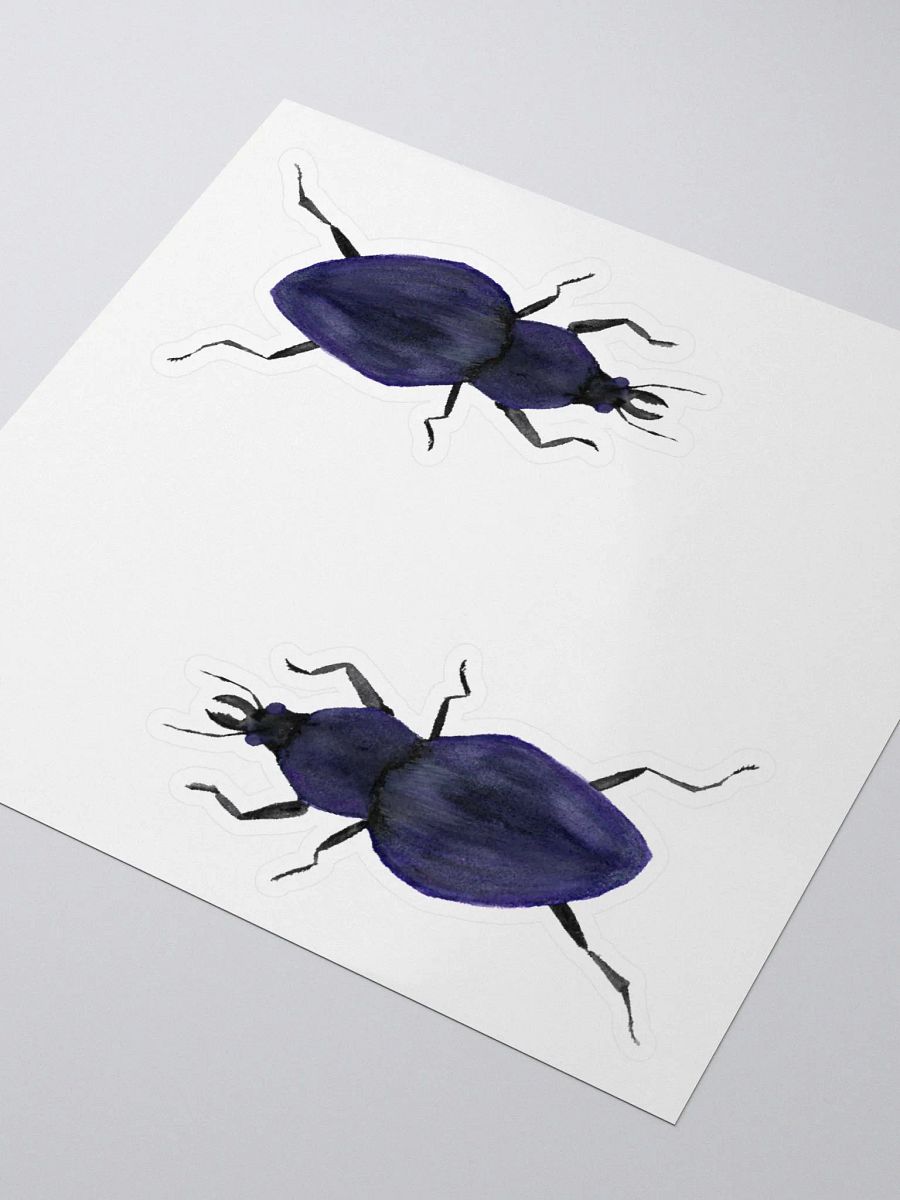 Rough Violet Ground Beetle Sticker (x2) product image (3)