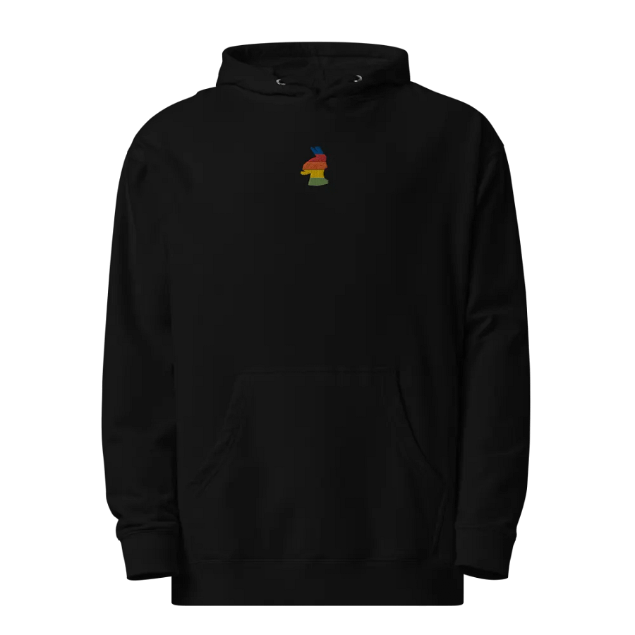 Rainbow Llama Hoodie - Black product image (1)