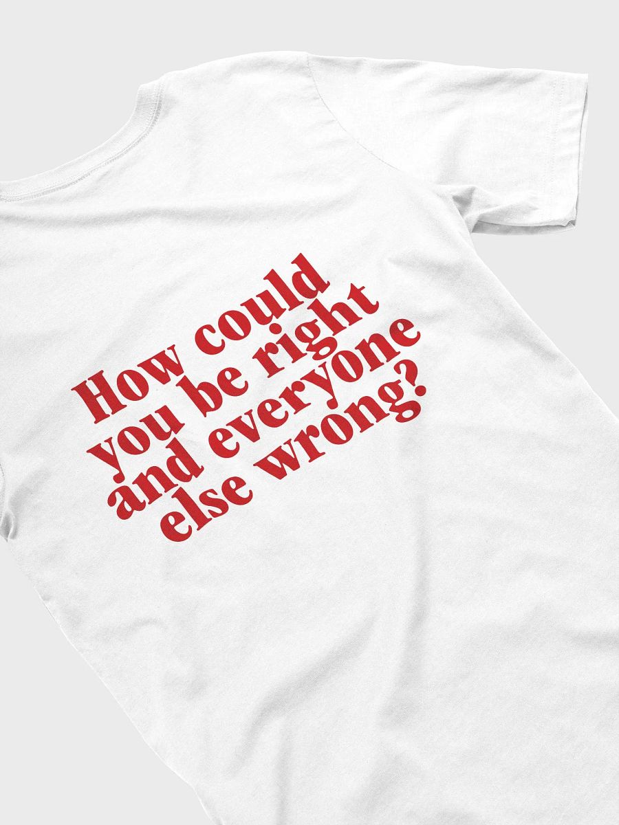 How could you be right and everyone else wrong? product image (4)