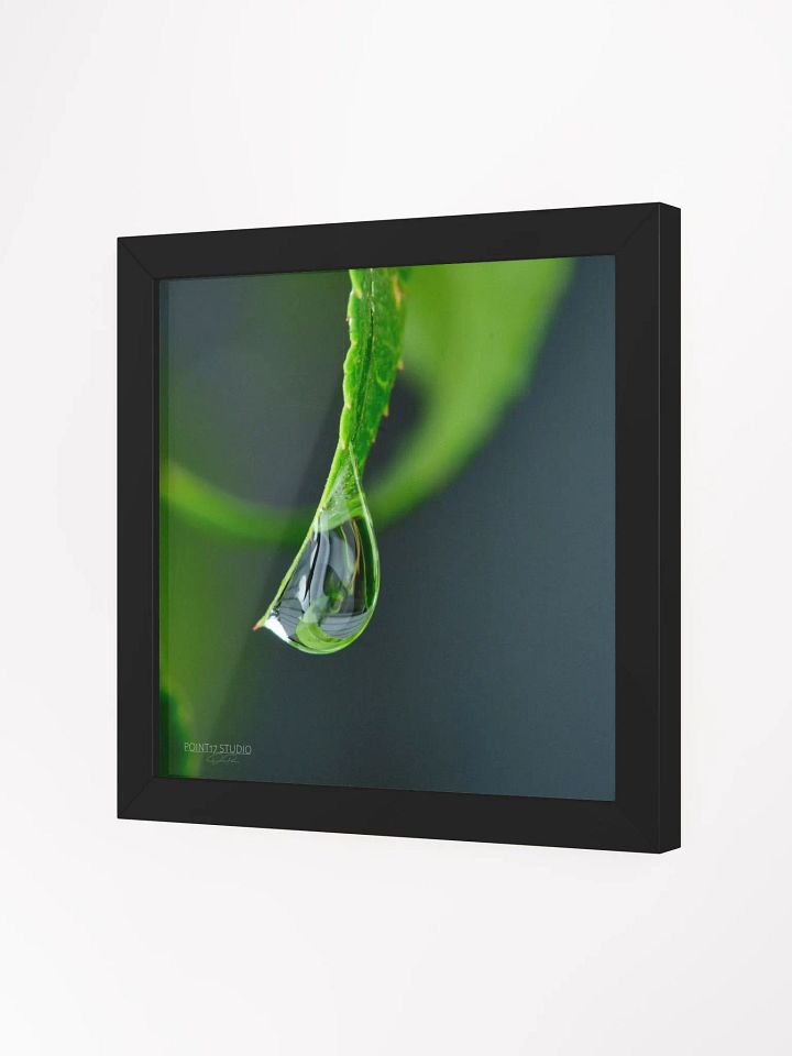 Dew Gems #4 - Framed Print product image (2)