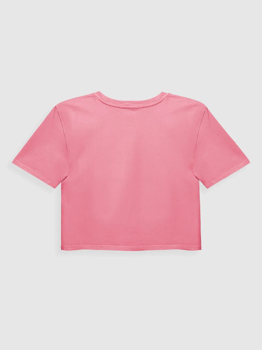 PREPARE FOR THE APOCALYPSE CROP TOP product image (2)