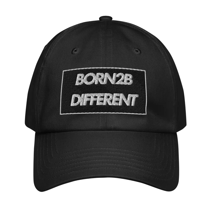 BORN2B DIFFERENT Dad Hat FT UNDER ARMOUR product image (1)