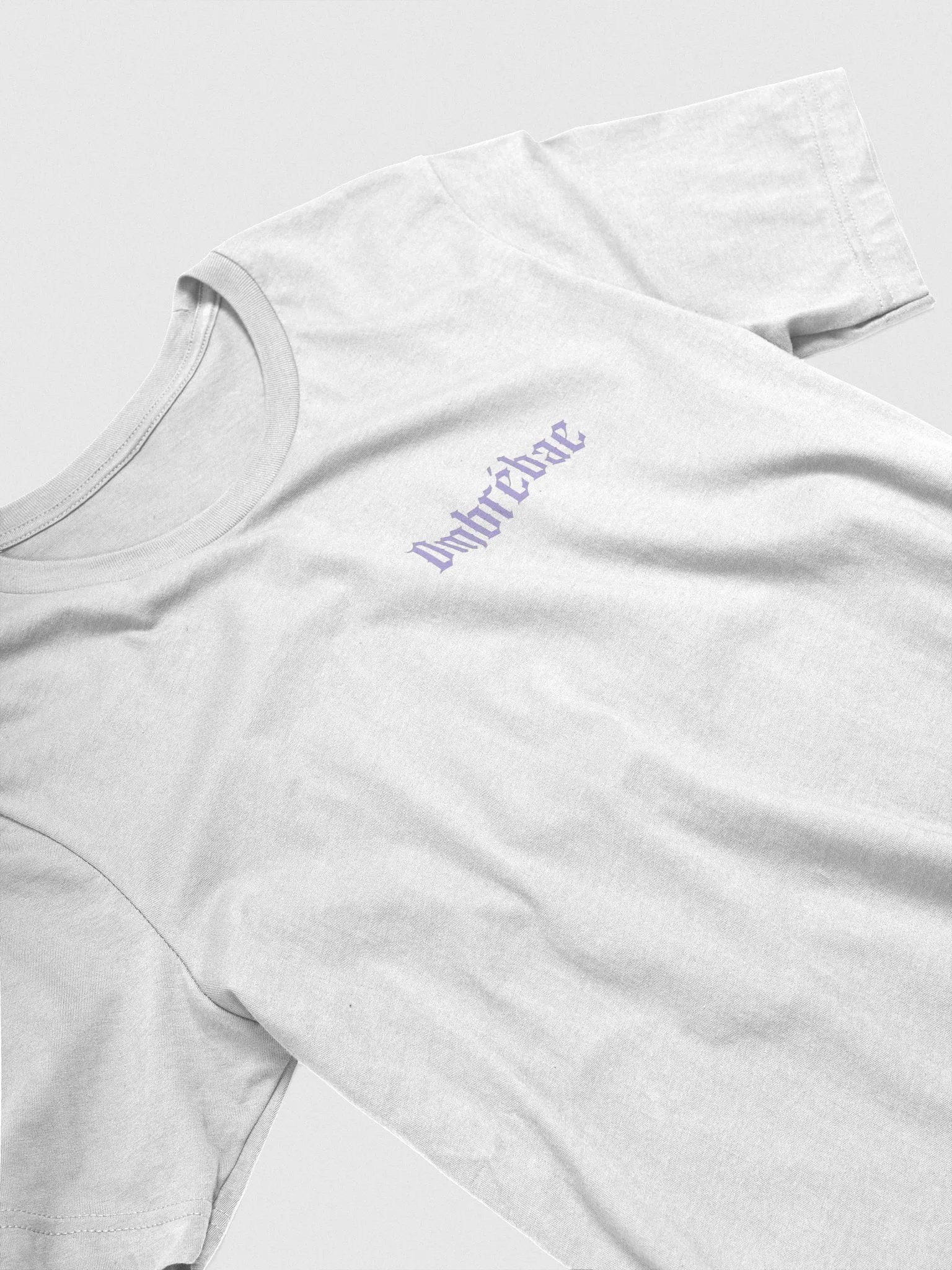 GOODBYE TEE product image (4)