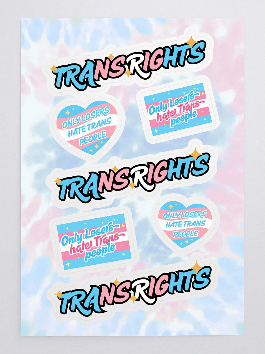 TRANS RIGHTS Sticker Sheet product image (3)