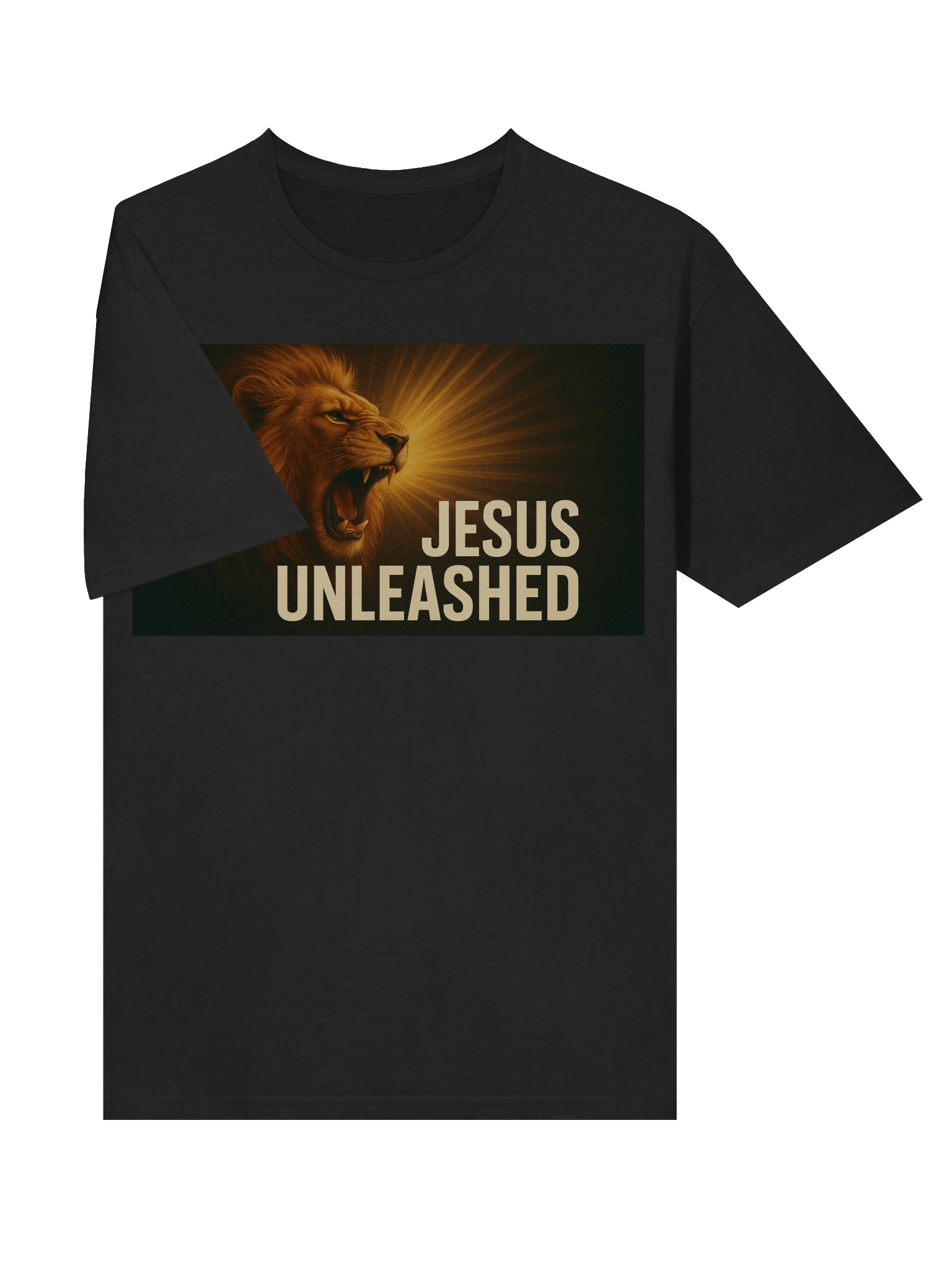 jesus unleashed product image (5)