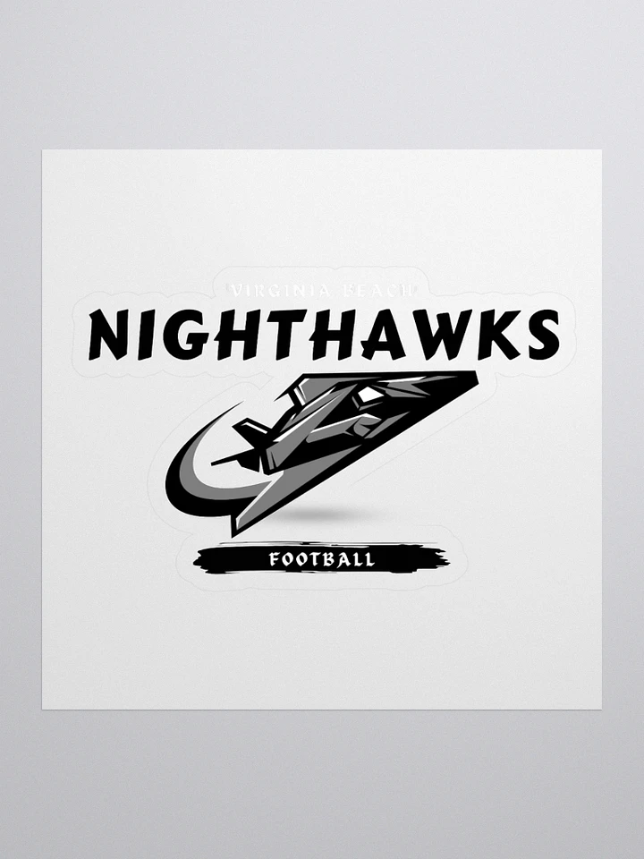 Virginia Beach Nighthawks Stickers product image (1)