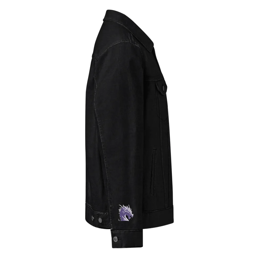 Dragon jacket product image (3)