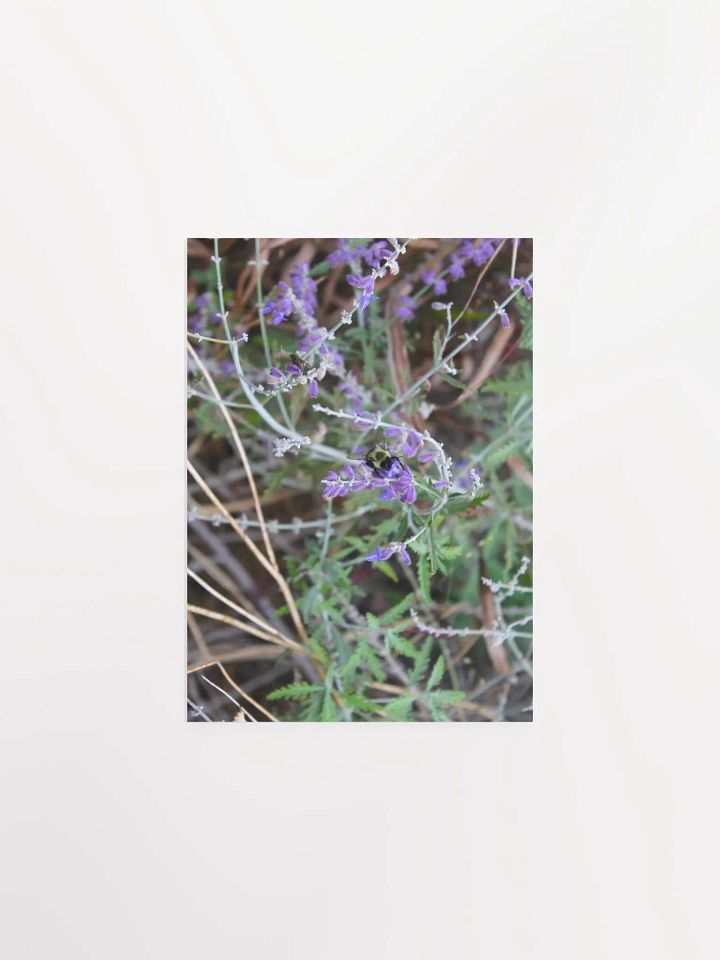 A Study in Flowers 4 product image (7)