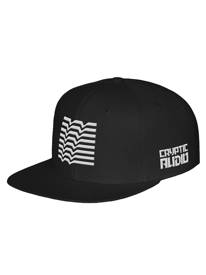 Cryptic Audio Snapback product image (2)
