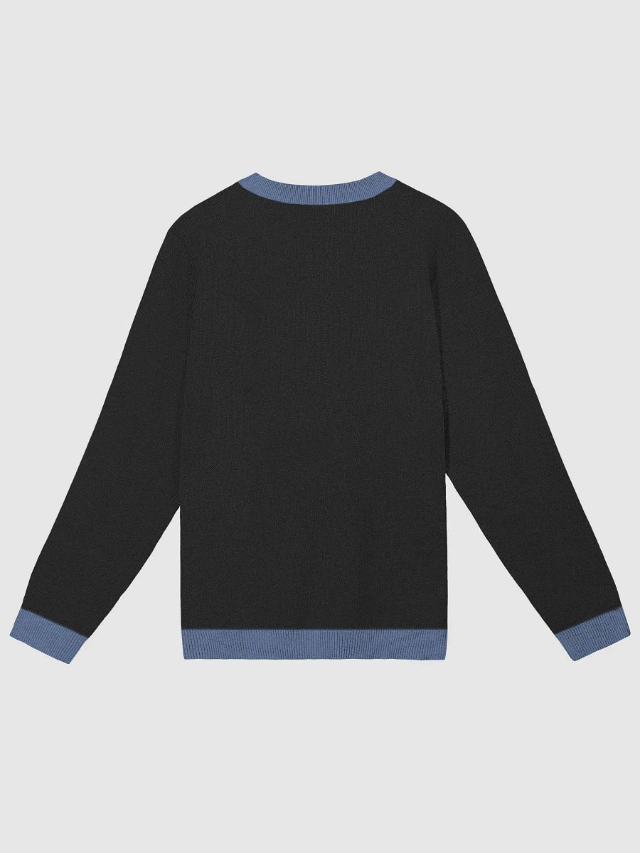 Raid Train Knit Crewneck Sweater product image (2)