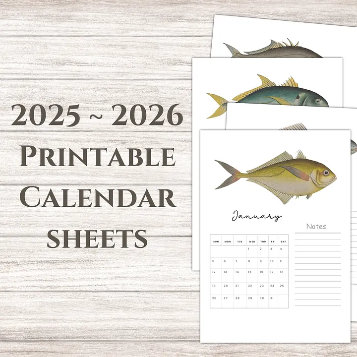 2025- 2026 PDF Calendar: Ocean Life product image (1)