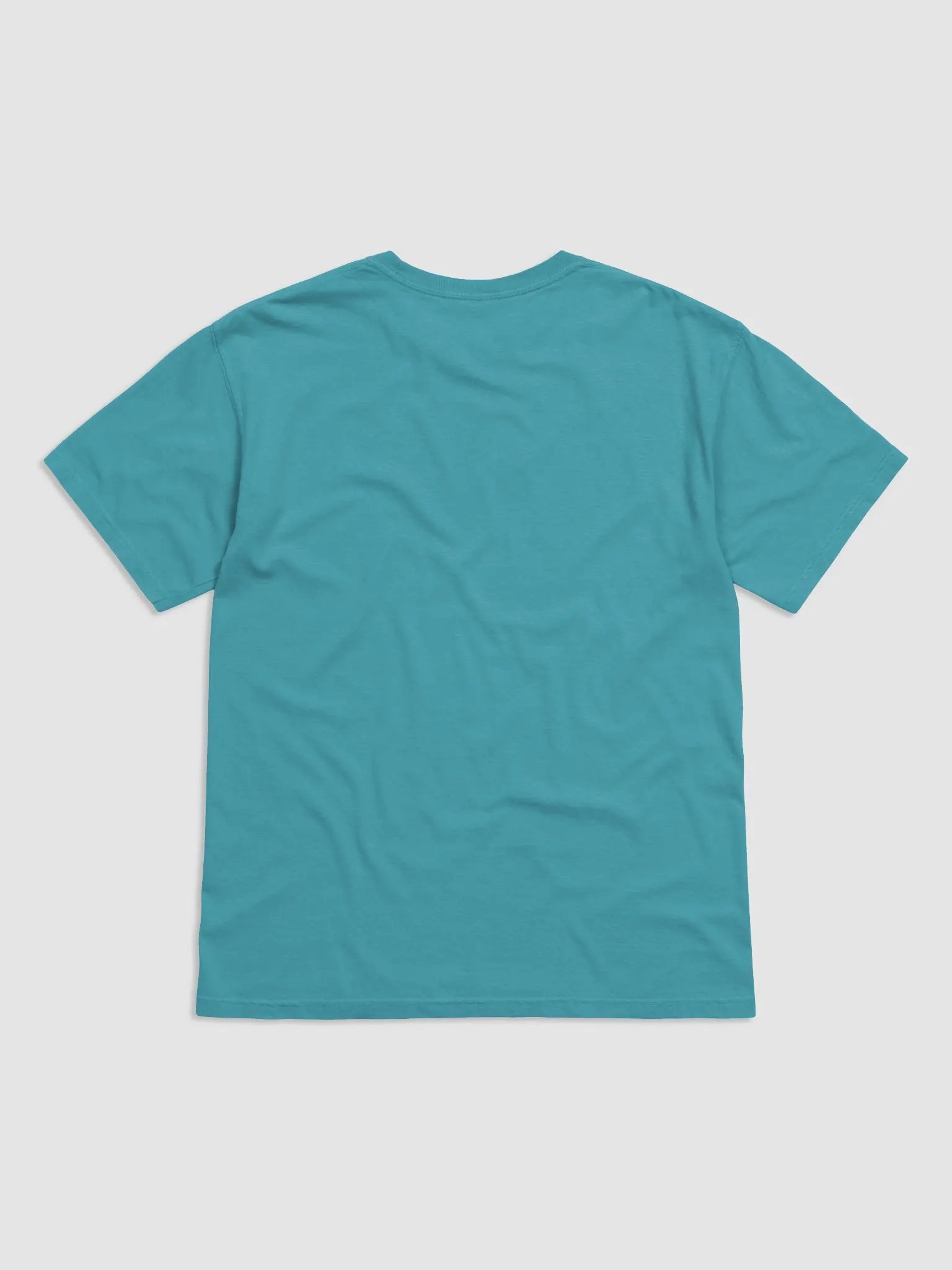 Motivational Snail Run Your Own Race T-Shirt product image (9)