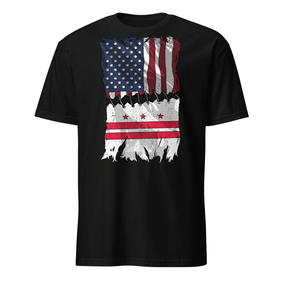 D.C. Stitch Flag USA product image (1)