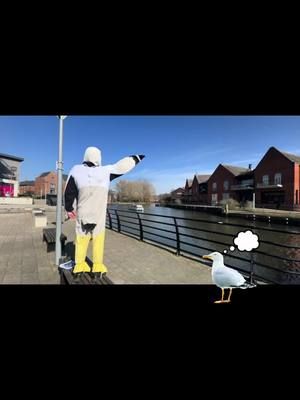 Gavin the Gull out promoting his book ‘Gavin the Gull & The River Monster’ along the River Wensum where it is set. #gavinthegull #seagullsoftiktok #Norwich #Norfolk 