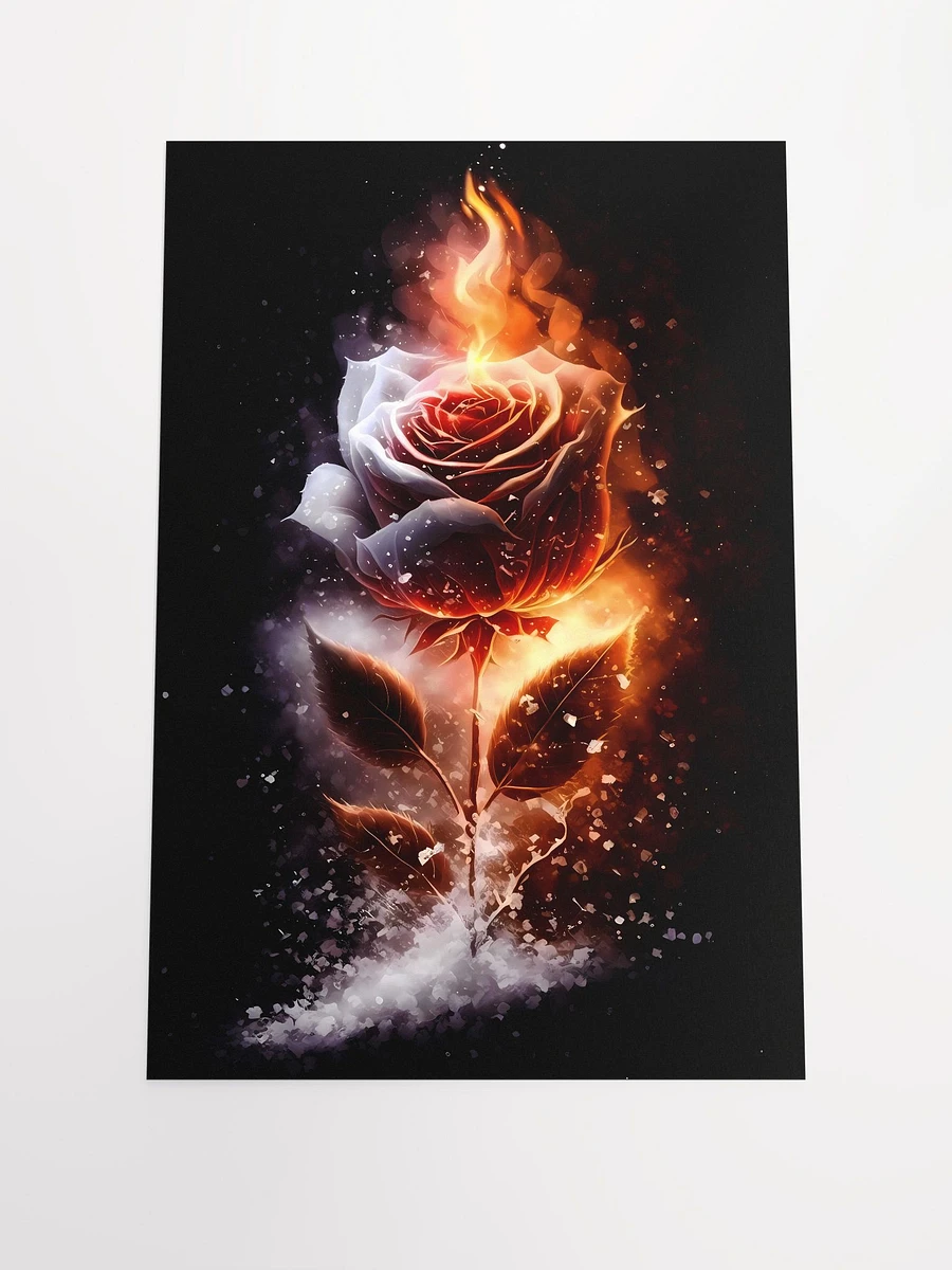 Flaming Rose Poster: A Symbol of Passion and Resilience in Nature Matte Poster product image (3)