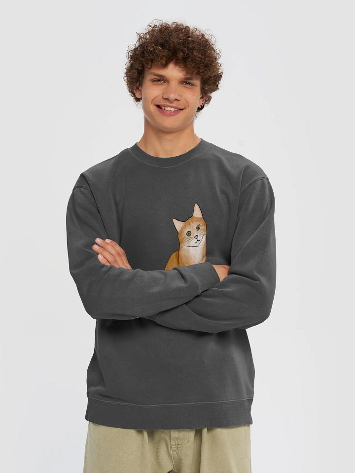 Orange Cat Unisex Midweight Pigment Dyed Sweatshirt product image (2)
