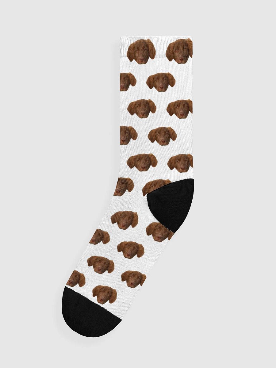 Nova Socks - White product image (1)