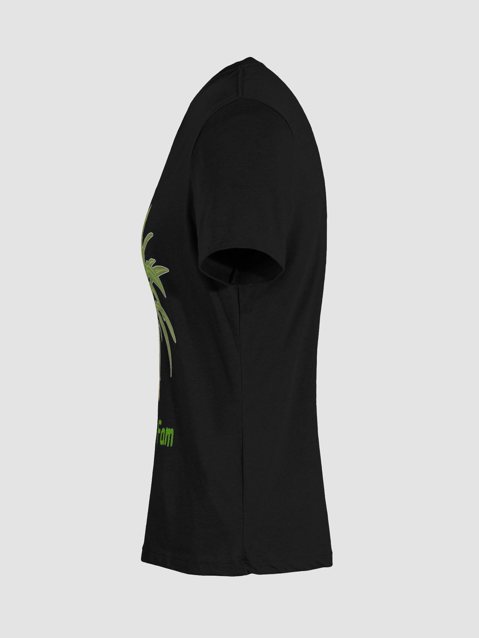 Women's Boo Boo Fam V Neck Tee Shirt product image (66)