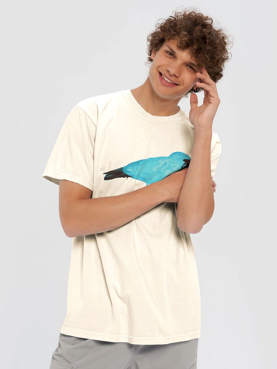 Birdz Series #2 product image (5)