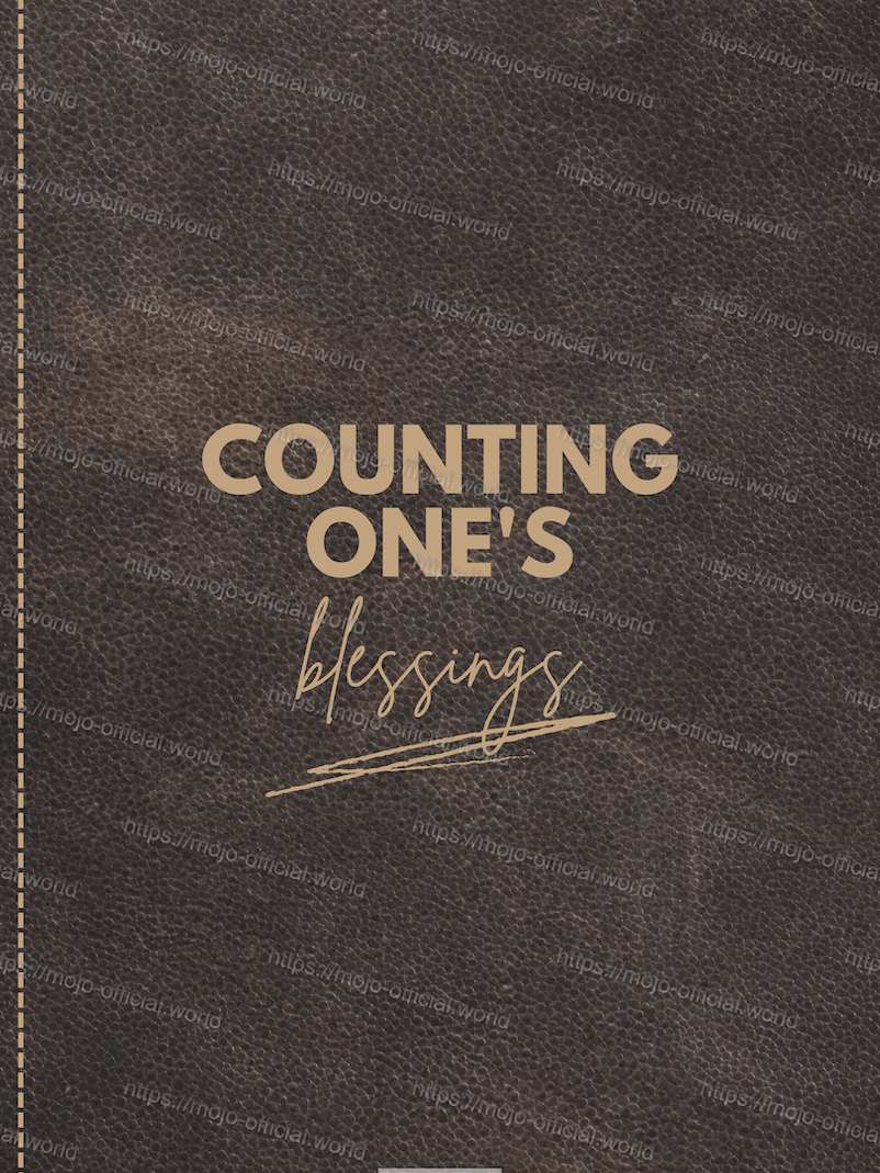 MOJOEnt804 - MOJO Gratitude Journal product image (3)