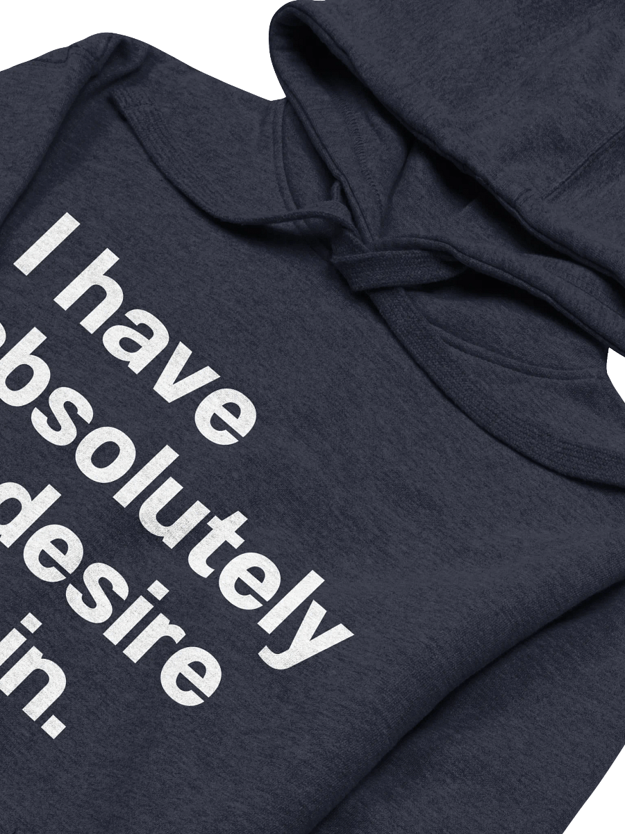 I have absolutely no desire to fit in. Unisex Hoodie product image (27)
