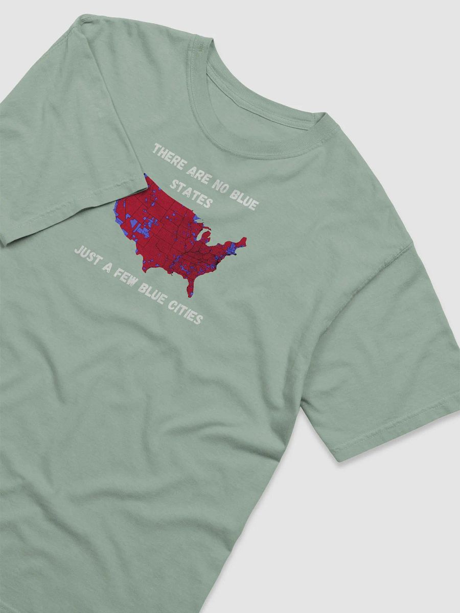 No blue states *smaller print* T-Shirt product image (3)